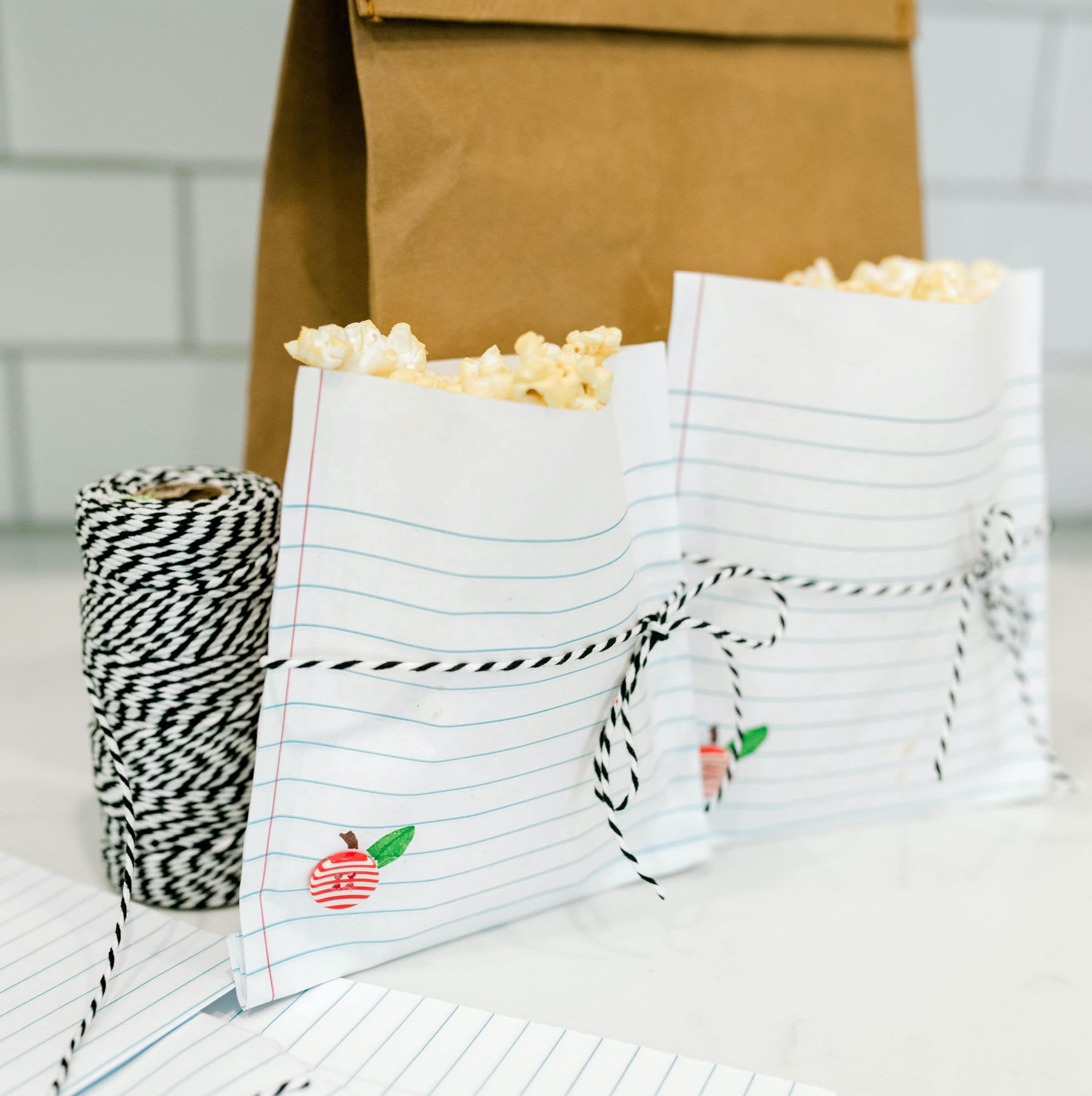 Wide-Ruled Popcorn Pouch