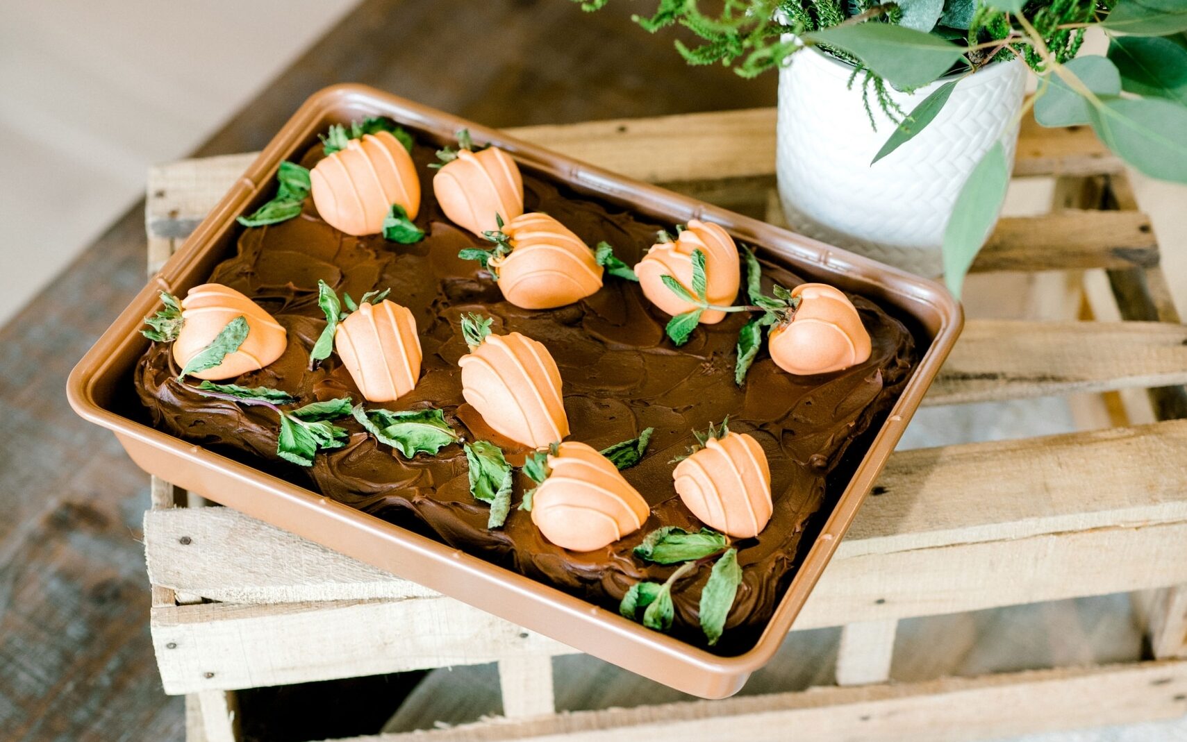 Pumpkin patch cake - chocolate cake with strawberries dipped in chocolate.